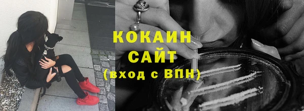 индика Киреевск