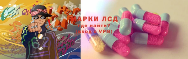 индика Киреевск