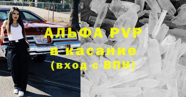 индика Киреевск