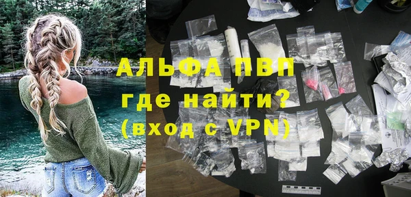индика Киреевск