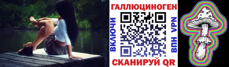 Псилоцибиновые грибы Psilocybe Краснотурьинск